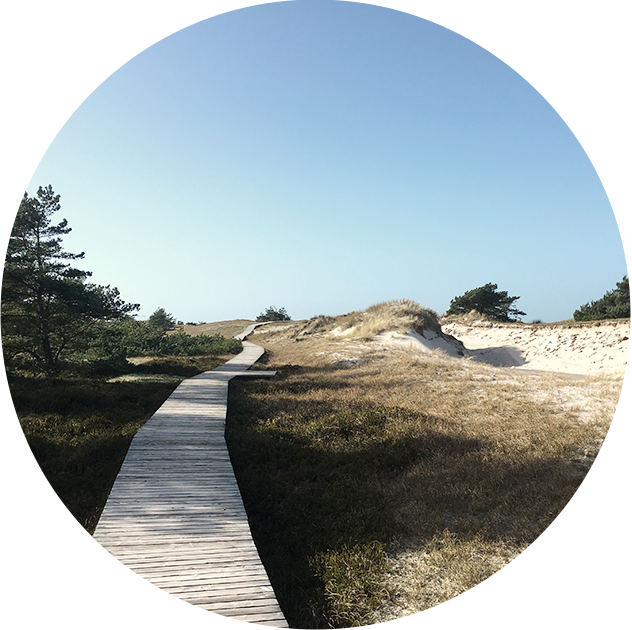 Holzsteg in der Düne